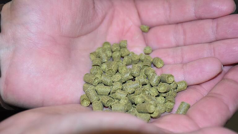 Aus den Anbaugebieten rund um Spalt, unweit des Brombachsees, stammt der Aroma-Hopfen, der auch in Hausen das Bier verfeinert.