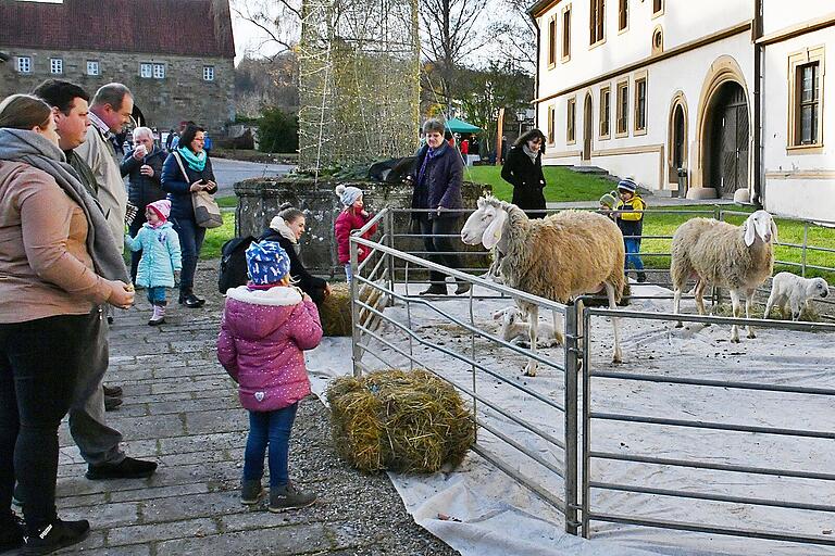 Die Schafe vor dem Abteigebäude waren vor allem für die Kleinsten das Interessanteste beim Bildhäuser Weihnachtsmarkt.