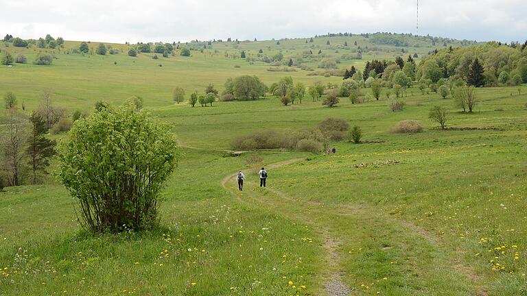 Am Heidelstein führt die "Hochrhöntour" lediglich vorbei. Wer auf den Gipfel will, muss einen zusätzlichen Kilometer wandern. Am Heidelstein führt die "Hochrhöntour" lediglich vorbei. Wer auf den Gipfel will, muss einen zusätzlichen Kilometer wandern.