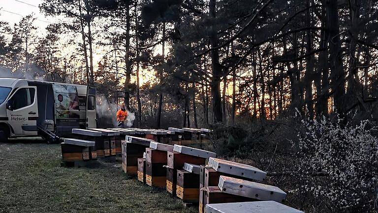 So haben Dorothea Heiser und Markus Nürenberg ihre Bienenkästen an der Hiebbühl in Erlenbach am 6. April vorgefunden: mit geöffneten Abdeckungen der Bienenkästen. Die Völker waren wohl mehrere Tage der Kälte ausgesetzt. So haben Dorothea Heiser und Markus Nürenberg ihre Bienenkästen an der Hiebbühl in Erlenbach am 6. April vorgefunden: mit geöffneten Abdeckungen der Bienenkästen. Die Völker waren wohl mehrere Tage der Kälte ausgesetzt.