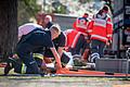 Rund 60 Einsatzkräfte von BRK, Feuerwehr, THW und Mitarbeitende des Landratsamtes Main-Spessart halfen beim Aufbau der Notunterkunft in der Spessarttorhalle in Lohr zusammen.