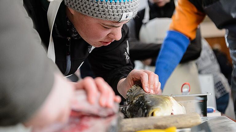 Kurs zum Schlachten und Verwerten von Fischen - Die Seminarteilnehmer lernen, wie man Fische richtig ausnimmt. Kurs zum Schlachten und Verwerten von Fischen - Die Seminarteilnehmer lernen, wie man Fische richtig ausnimmt.