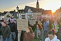 Über 1000 Menschen beteiligten sich an der ersten Demonstration gegen Rechts und für Demokratie in Kitzingen. Am Sonntag, 4. Februar, findet die 'Demonstration der Demokraten' statt.