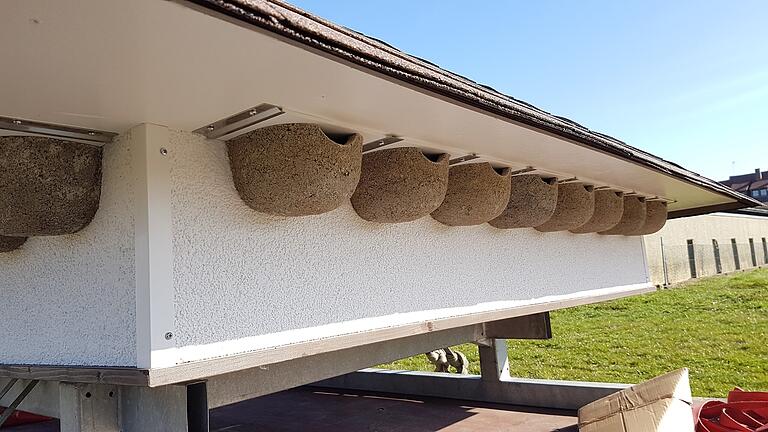 An Hausfassaden sind die Nester von Schwalben oft unerwünscht, deshalb wird ihnen am Kreisacker in Kitzingen&nbsp;eine künstliche Möglichkeit zum Brüten gegeben.