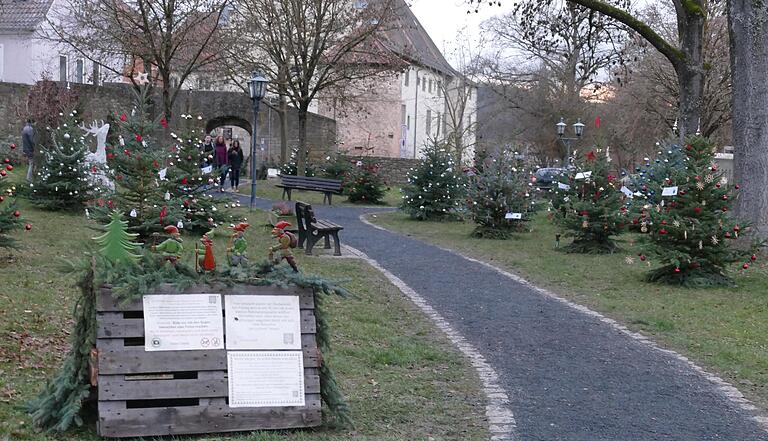 Blick in den Zauberwald