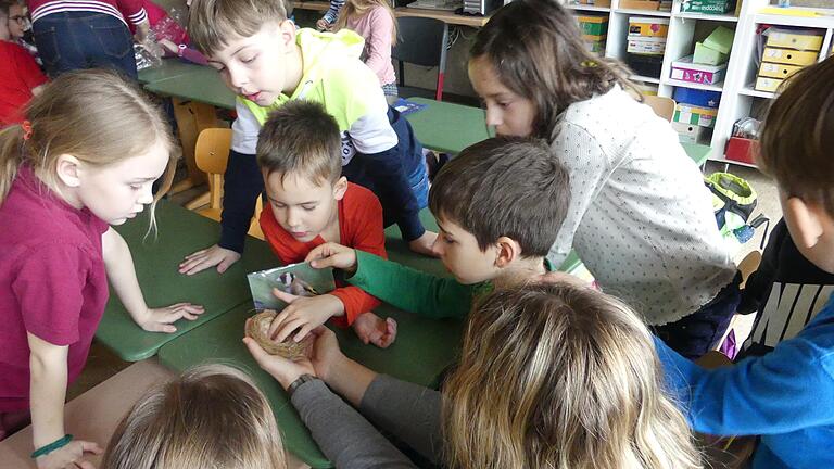 Vogelexperten vom Landesbund für Vogelschutz zu Besuch in der Grundschule Sendelbach.