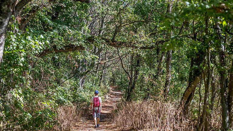 Der an die Ruine Speckfeld angrenzende Wald ist als Naturwaldreservat und Naturschutzgebiet sowie zusätzlich als FFH- (Flora-Fauna-Habitat) und Vogelschutzgebiet ausgewiesen. Auf dem Kelten-Erlebnisweg geht's von der Ruine Speckfeld durch den Wald Richtung Neubauhof.