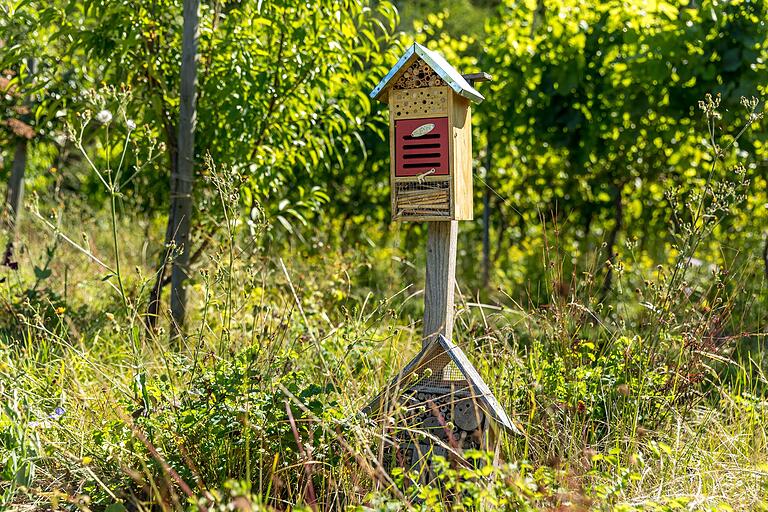 Mehrere Bienen- und Insektenhotels säumen die Tour. Mehrere Bienen- und Insektenhotels säumen die Tour.
