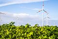 Windräder stehen auf einem Feld. Wind und Sonne haben die Erzeugung von Ökostrom in Deutschland auf einen Halbjahresrekord getrieben.&nbsp;