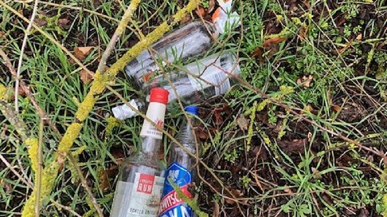 Leere Flaschen im Gebüsch.