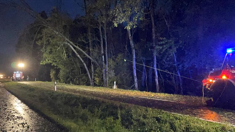 Stürmische Böen fegten über den Landkreis und die Feuerwehr Volkach hatte einiges zu tun. Auf der Straße Richtung Eichfeld wurden umgeknickte Bäume mit der Seilwinde auf die Straße gezogen und dort mit der Kettensäge zerteilt.