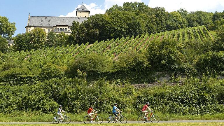 Ein Pluspunkt bei der Bewerbung Schonungens: auch den Mainradweg kann man genießen - neben dem Bier aus Hausen und dem Wein aus Mainberg.