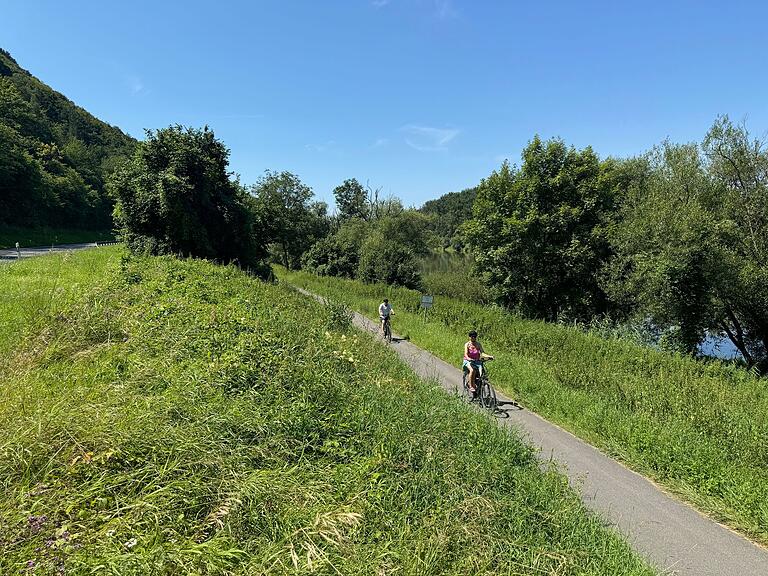 Der Mainradweg zwischen Bettingen und Homburg führt auf vielen Kilometern direkt am Wasser entlang.