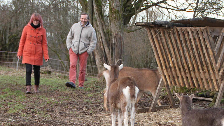 In Mitgenfeld daheim: Als Ausgleich zu seinem stressigen Job als selbstständiger Berater züchtet Alexander Beck Thüringer Waldziegen. Neben ihm läuft Anne Baumann, die bei Becks Assoziation ökologischer Lebensmittelhersteller für die Verbandskommunikation zuständig ist. Foto: Ulrike Müller       -  In Mitgenfeld daheim: Als Ausgleich zu seinem stressigen Job als selbstständiger Berater züchtet Alexander Beck Thüringer Waldziegen. Neben ihm läuft Anne Baumann, die bei Becks Assoziation ökologischer Lebensmittelhersteller für die Verbandskommunikation zuständig ist. Foto: Ulrike Müller