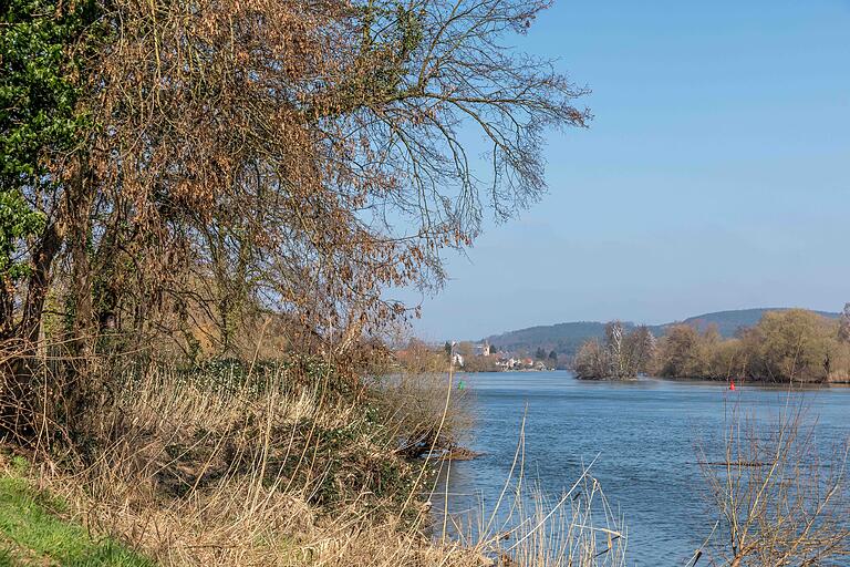 Mehr als die Hälfte der Tour führt am Wasser entlang - entweder am Niedernberger See oder - wie hier im Bild - am Main. Mehr als die Hälfte der Tour führt am Wasser entlang - entweder am Niedernberger See oder - wie hier im Bild - am Main. 