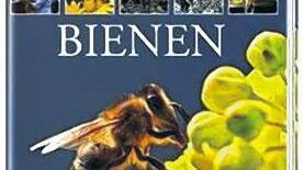 Von Sonnensystem bis Heyerdahl       -