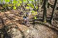 Mit dem Mountainbike unterwegs? Falsch, Jürgen Bergmann fährt hier auf einem Gravelbike durch ein Waldstück bei Altenstein. Gravelbikes sind zwar nicht so geländegängig wie Moutainbikes, haben aber auf der Straße klare Vorteile.