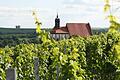 Maria im Weingarten auf dem Volkacher Kirchberg: Die Weinberge und der Wallfahrtsort bleiben. Auf Weinetiketten wird die Bezeichnung 'Volkacher Kirchberg' jedoch verschwinden.&nbsp;