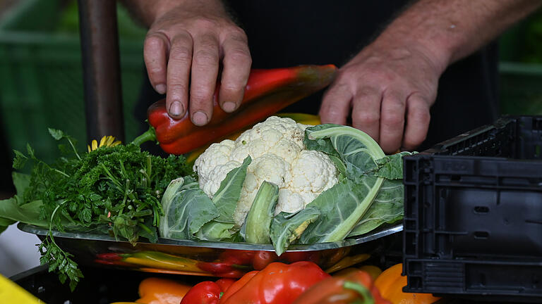 424219966.jpg       -  Der Blumenkohl gilt als absolutes Superfood zum Abnehmen. Aber hält er auch, was er verspricht?