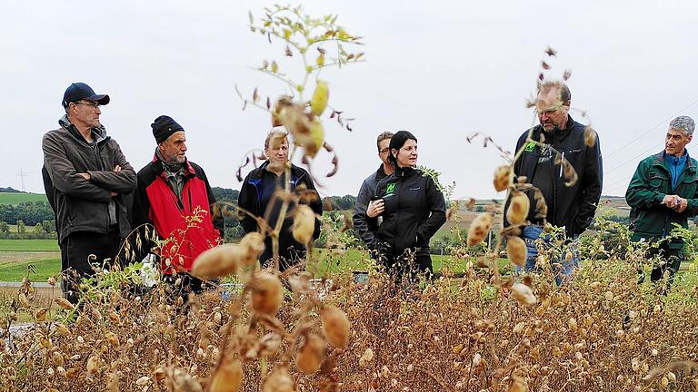 Informationen über den Anbau von Kichererbsen gab es an diesem Feld von Öko-Landwirt Udo Rumpel. Dabei waren auch Liane Regner von der Naturland-Marktgesellschaft (Mitte) und Naturland-Fachberater Werner Vogt-Kaute (zweiter von rechts).