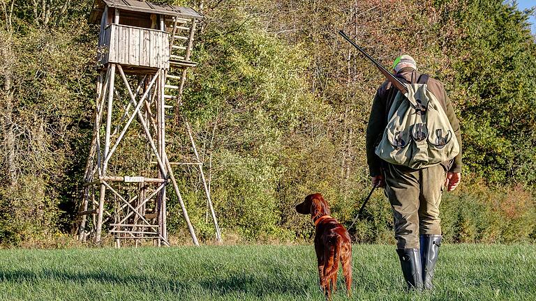 Fast 800 Jägerinnen und Jäger gibt es im Landkreis Schweinfurt – Tendenz steigend. Denn die Jagd wird immer beliebter. Aber wie viele Waffen, Reviere und erlegtes Wild gibt es in der Region?