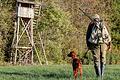 Fast 800 Jägerinnen und Jäger gibt es im Landkreis Schweinfurt – Tendenz steigend. Denn die Jagd wird immer beliebter. Aber wie viele Waffen, Reviere und erlegtes Wild gibt es in der Region?