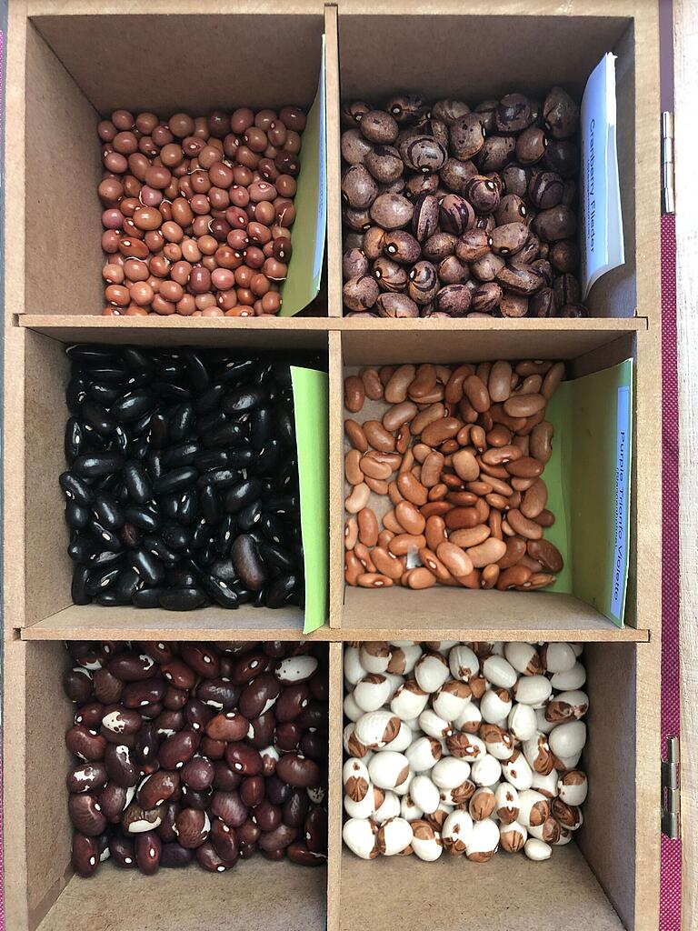 Der nächste Saatgutmarkt findet am 1. Februar in Wasserlosen statt. Der nächste Saatgutmarkt findet am 1. Februar in Wasserlosen statt.
