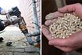 Der nächste Winter kommt bestimmt: Lohnt es sich aktuell, Heizöl und Pellets zu kaufen? Das empfehlen regionale Händler den Hausbesitzern.