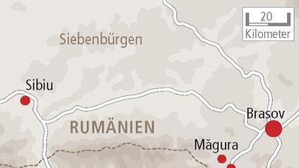Wo die wilden Bären wohnen