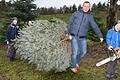 Selber schlagen ist in! Viele Familien suchen sich den Weihnachtsbaum aus und legen dann - mit entsprechender Ausrüstung - selbst Hand an.