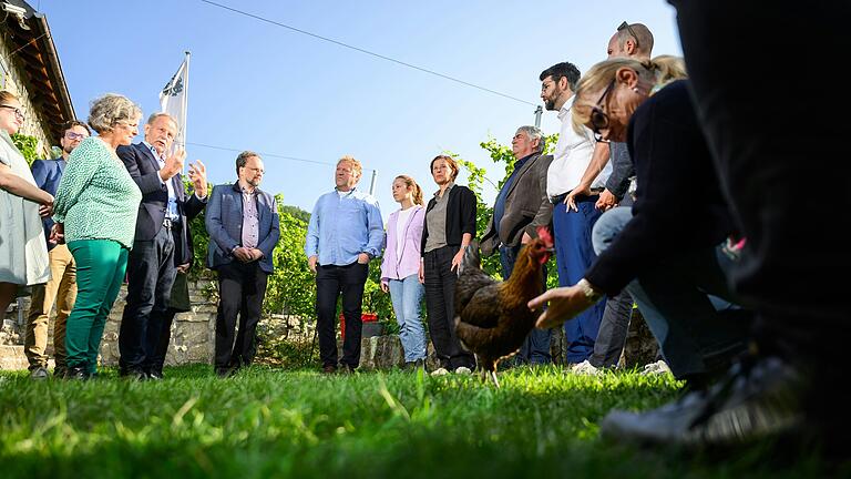 Auf dem Weingut der Familie Knoll am Würzburger Stein diskutierten die Landtags-Grünen, wie sie landwirtschaftliche Betriebe fördern können, die mit den Folgen des Klimawandels kämpfen.