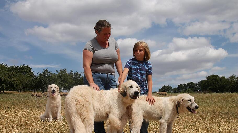 Christiane Geiger mit Sohn Emil und den jungen Herdenschutzhunden Patou (links) und Paulette. Im Hintergrund wacht Uschi.  Foto: Björn Kohlhepp       -  Christiane Geiger mit Sohn Emil und den jungen Herdenschutzhunden Patou (links) und Paulette. Im Hintergrund wacht Uschi.  Foto: Björn Kohlhepp