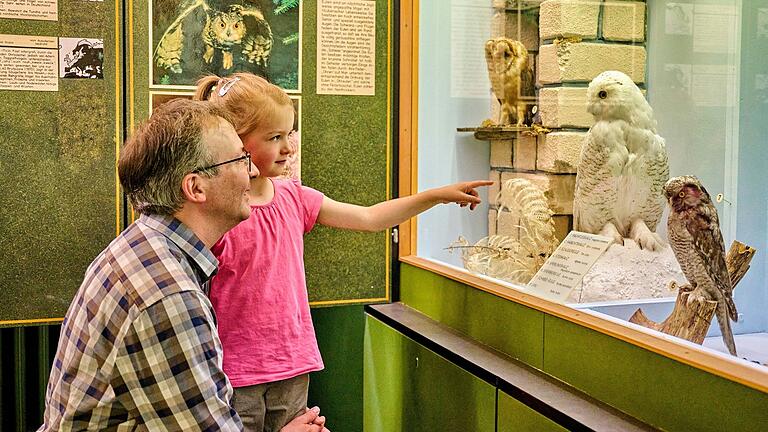 Auch ein Tipp für kühle Tage: Die Vogelsammlung Schweinfurt, schräg gegenüber vom Museum Georg Schäfer.