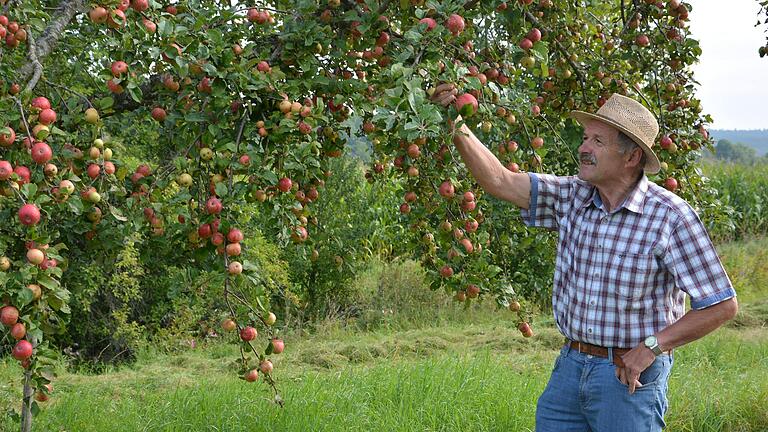 Adam Zentgraf aus Hausen vor einem Apfelbaum. Für ihn haben die Streuobstwiesen eine ganz besondere Bedeutung.