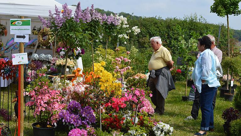 Florale Schönheiten zuhauf erleben: Die Ausstellung 'Gartenträume' wird an Pfingsten zum 21. Mal auf dem Gelände der alten Schlossscheune der Familie Wehner in Traustadt stattfinden. Florale Schönheiten zuhauf erleben: Die Ausstellung 'Gartenträume' wird an Pfingsten zum 21. Mal auf dem Gelände der alten Schlossscheune der Familie Wehner in Traustadt stattfinden.