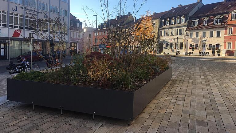 Solche Pflanzsysteme wie hier am Zeughausplatz sollten aus Sicht von SPD-Stadtrat Peter Hofmann in der ganzen Stadt aufgestellt werden, wo Flächen nicht entsiegelt werden können. Solche Pflanzsysteme wie hier am Zeughausplatz sollten aus Sicht von SPD-Stadtrat Peter Hofmann in der ganzen Stadt aufgestellt werden, wo Flächen nicht entsiegelt werden können.