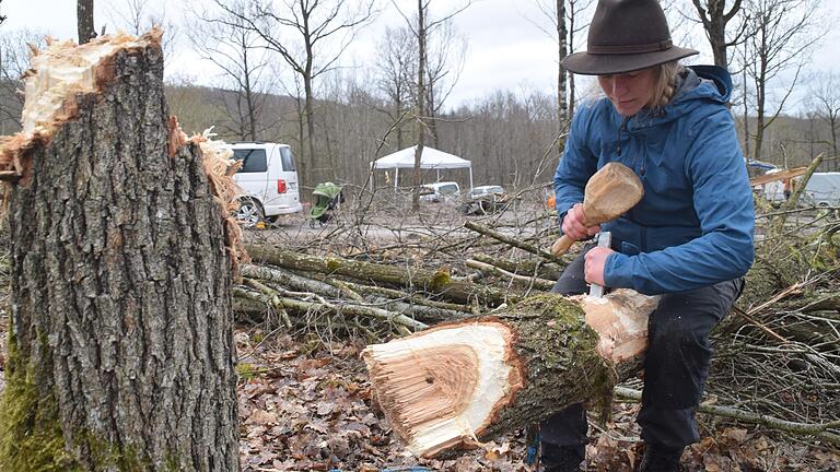 Elena Moos stemmt mit Holzhammer und Feuersteinmeißel Zapfenlöcher aus dem Stamm. Die Wissenschaftler wollen herausfinden, mit welchen Werkzeugen die Menschen früher gearbeitet haben. Elena Moos stemmt mit Holzhammer und Feuersteinmeißel Zapfenlöcher aus dem Stamm. Die Wissenschaftler wollen herausfinden, mit welchen Werkzeugen die Menschen früher gearbeitet haben.