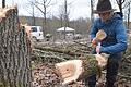 Elena Moos stemmt mit Holzhammer und Feuersteinmeißel Zapfenlöcher aus dem Stamm. Die Wissenschaftler wollen herausfinden, mit welchen Werkzeugen die Menschen früher gearbeitet haben.