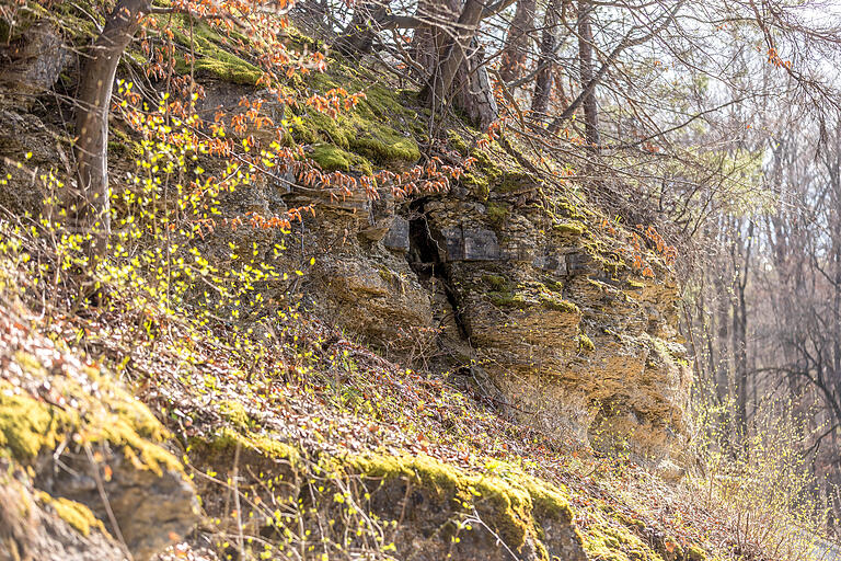 Unterwegs auf dem Weg der Lieder in Retzstadt (Lkr. Main-Spessart). Wandern schafft eine Stille und Distanz zum Alltag - und gibt uns so Gelegenheit, zur Ruhe zu kommen. Unterwegs auf dem Weg der Lieder in Retzstadt (Lkr. Main-Spessart). Wandern schafft eine Stille und Distanz zum Alltag - und gibt uns so Gelegenheit, zur Ruhe zu kommen.
