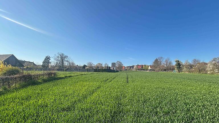 Ein Großteil der landwirtschaftlich genutzten Fläche östlich des Friedhofs in Dettelbach könnte zur Wohnbebauung umgewandelt werden.