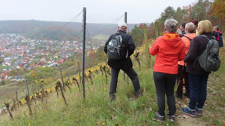 Ein schöner Anblick - bunte Weinberge mit Aussicht ins Tal, hier auf Ramsthal.