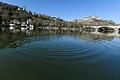 Mainblick vom Ufer am Mainkai in Würzburg, im Hintergrund sind Löwenbrücke und Festung zu sehen.