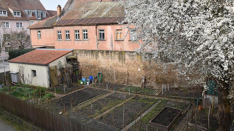 Da scheint die Zeit stehen geblieben zu sein. Eigentlich mitten in der Stadt finden sich sogar noch Beete für den Gemüseanbau im Stadtteil Zürch.