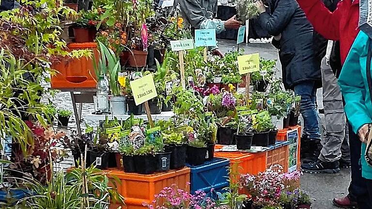 Zahlreiche Anbieter von Pflanzen und Dekoware lockten am Sonntag zur Garten- und Pflanzenbörse.