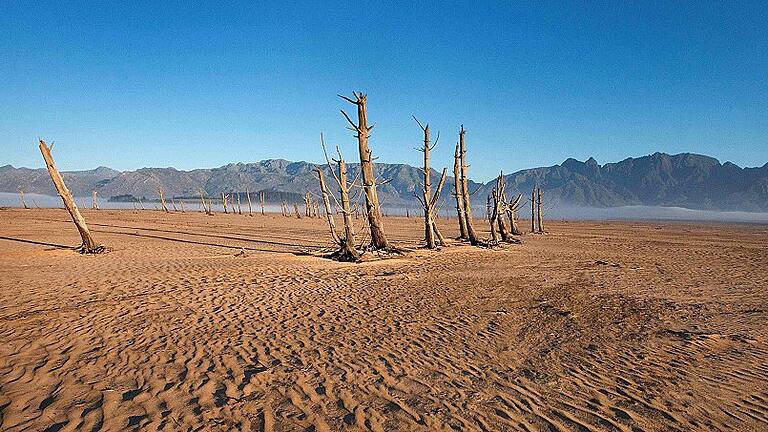 FILES-SAFRICA-DROUGHT-CLIMATE       -  Abgestorbene Bäume am weitgehend trockenen Speichersee Theewaterskloof: Kapstadt durchleidet eine Dürre, wie es sie nur alle 300 Jahre gibt.