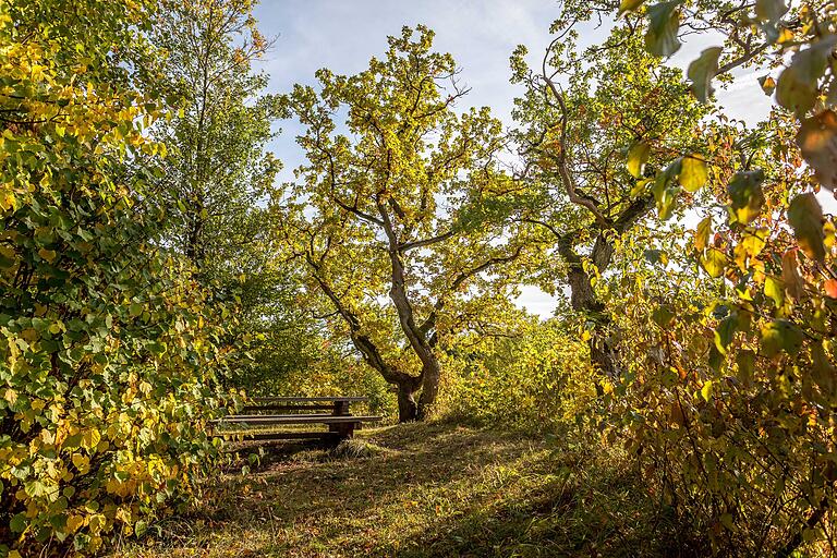 Die malerischen Wälder, die sich an Meiningen schmiegen, bilden die Kulisse für diese Tour. Die malerischen Wälder, die sich an Meiningen schmiegen, bilden die Kulisse für diese Tour.