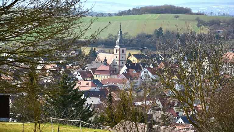 Remlingen investiert in seinen Wald und die Zukunft.