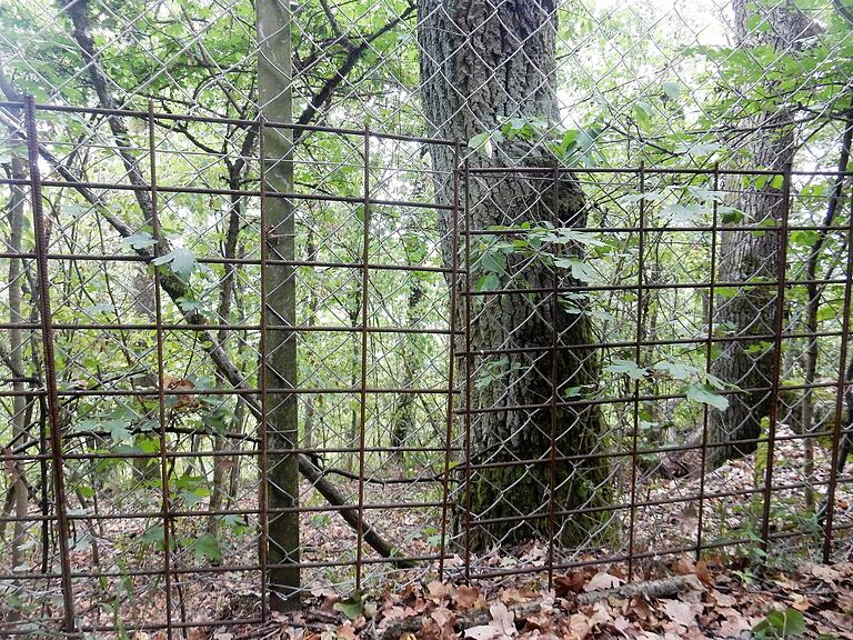 Stahlmatten schützen die Gärten vor den Wildsäuen.