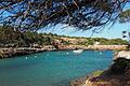 Kaum was los in der Bucht von Cala Sa Nau - so kennt man Mallorca eher nicht. Foto: Andreas Drouve/dpa-tmn       -  Die Bucht von Cala Sa Nau ist ein beliebtes Ausflugsziel - auch weil Abends immer wieder Beachpartys stattfinden.