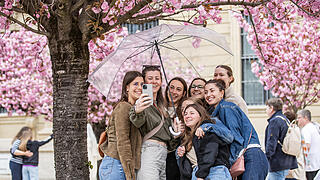 Einige Menschen tummeln sich am Sonntag (13.04.25) im Hofgarten der Residenz in Würzburg. Die Kirschblüte lockt jedes Jahr im April viele Besucher in die Gartenanlage.